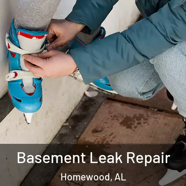  Basement Leak Repair Homewood, AL