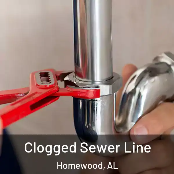  Clogged Sewer Line Homewood, AL