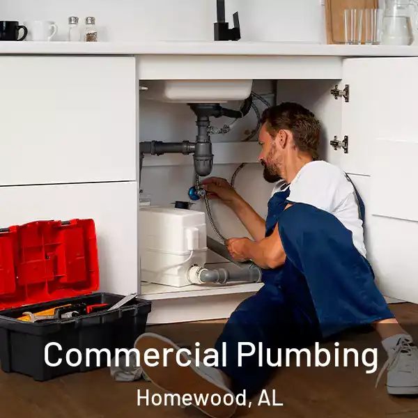  Commercial Plumbing Homewood, AL