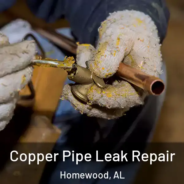  Copper Pipe Leak Repair Homewood, AL