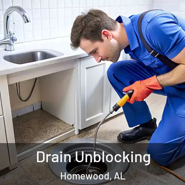  Drain Unblocking Homewood, AL