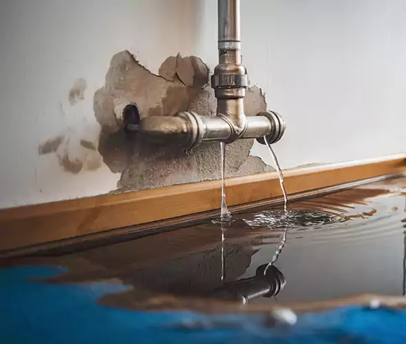 Professional Water Damage Restoration Experts in Homewood, AL — Fast, Reliable & Certified