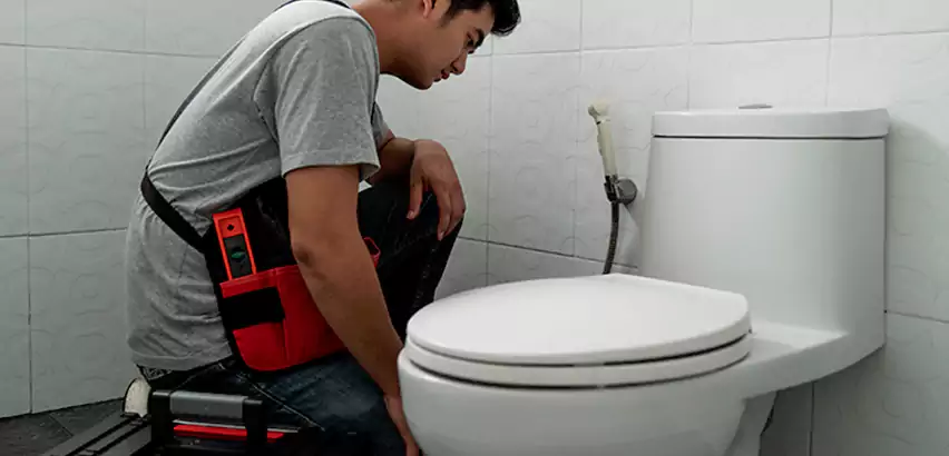 Toilet Repair in Homewood
