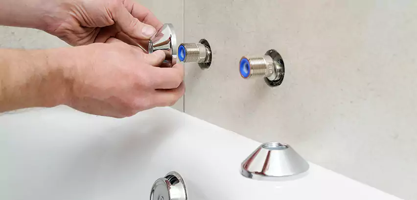 Bathtub Faucet Diverter Replacement in Homewood