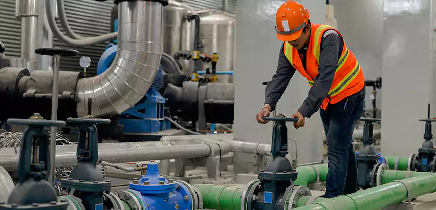 Top-Notch Trenchless Sewer Line Repair Services in Homewood, AL.