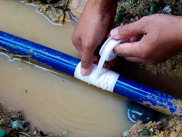  Why Choose Homewood Plumbing Co for Leak Detection in Homewood, AL?]