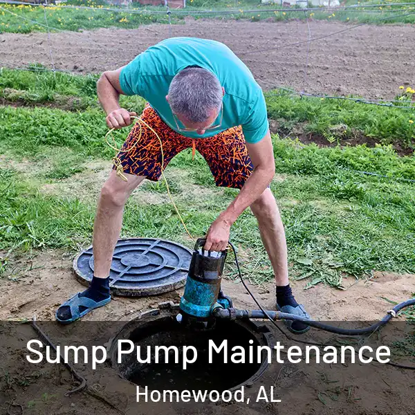  Sump Pump Maintenance Homewood, AL