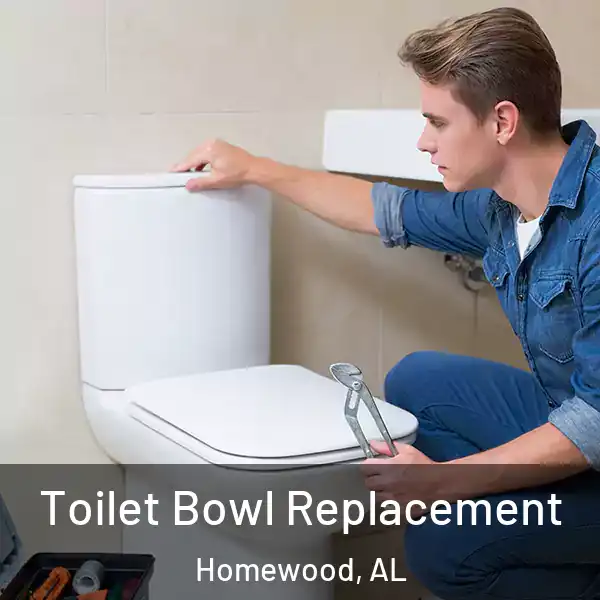  Toilet Bowl Replacement Homewood, AL