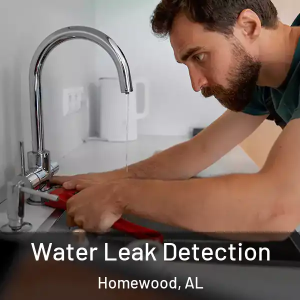  Water Leak Detection Homewood, AL